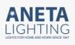 Aneta Lightning logo